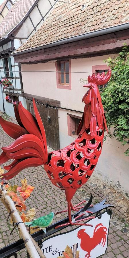 Gite Le Coq Rouge エーグイスハイム エクステリア 写真